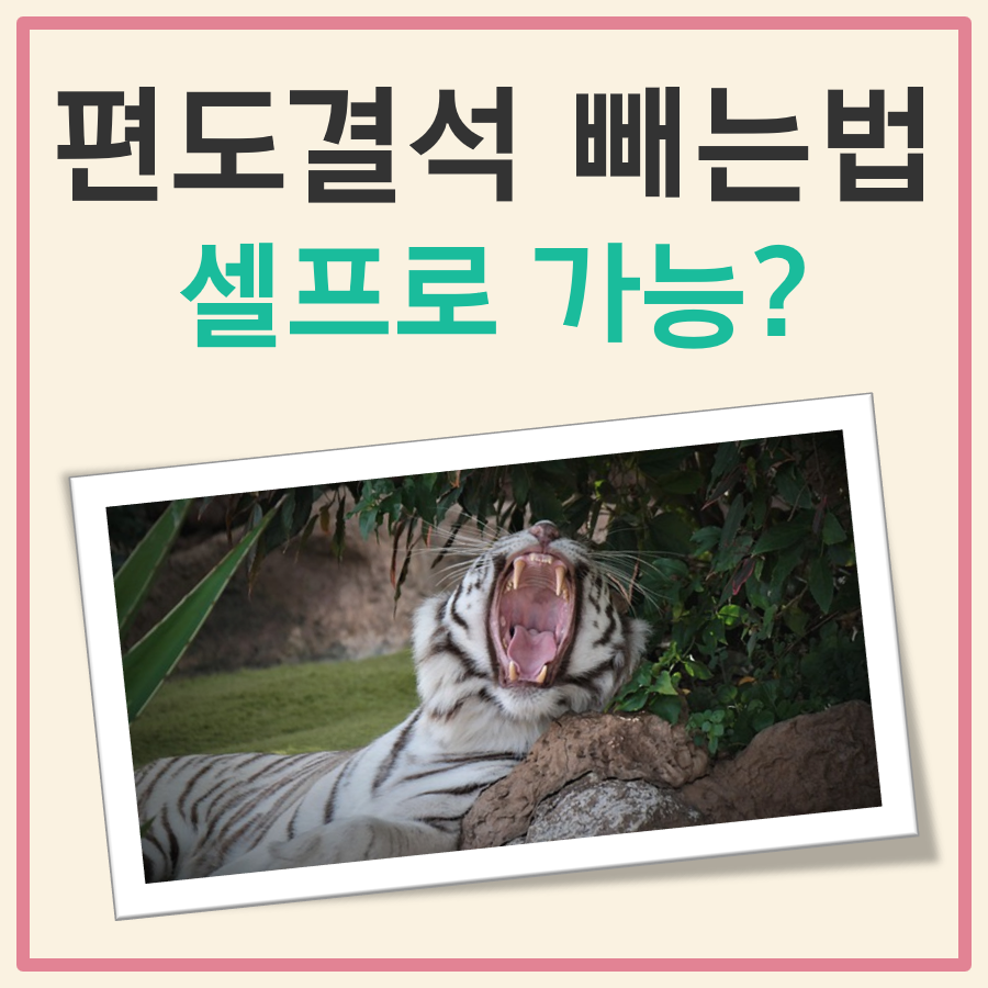 편도결석 빼는법 셀프