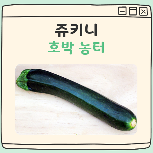 쥬키니 호박 농터 대표 이미지